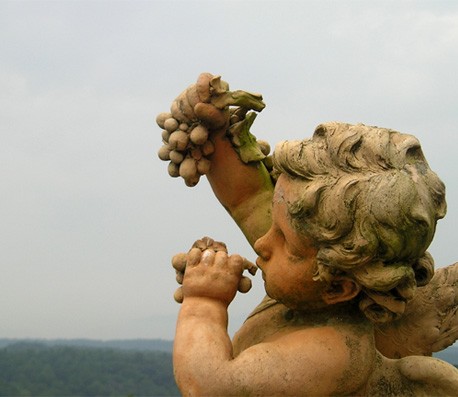 自动攻击网站工具下载